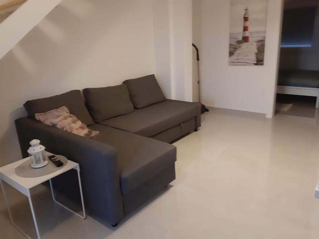 Apartman Hmelina 沃希 外观 照片